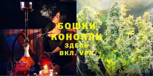 прущие грибы Няндома