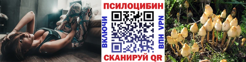 Псилоцибиновые грибы мицелий ссылка на мегу ONION Власиха как найти